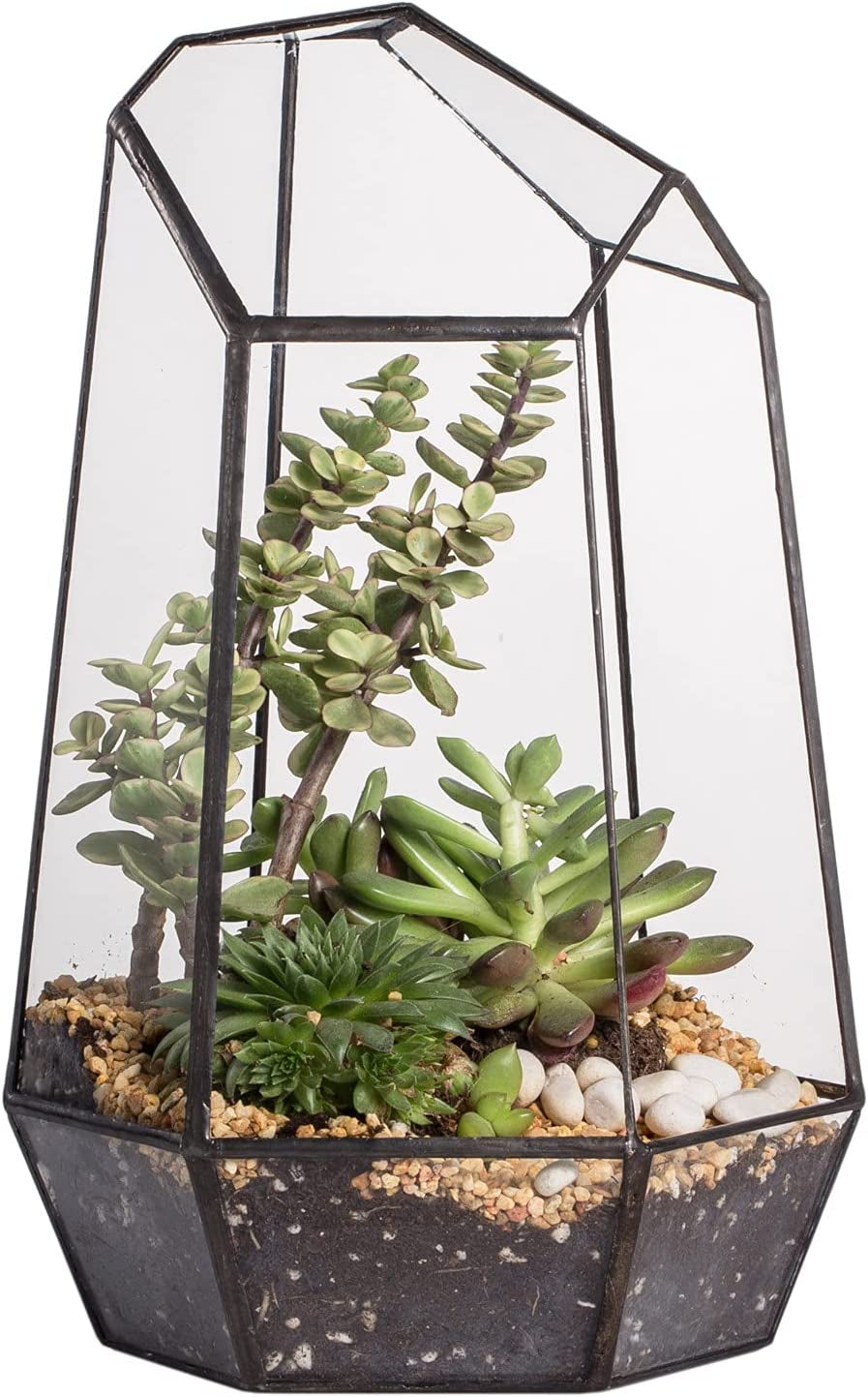 Geometric Glass Terrarium Planter for Succulent, Small Cacti, Black Irregular Opened Container Pot, Indoor Home Garden Office Tabletop Decor, 6.5" X 5.7" X 9.8" (No Plants, No Door)
