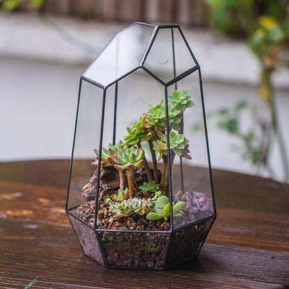 Geometric Glass Terrarium Planter for Succulent, Small Cacti, Black Irregular Opened Container Pot, Indoor Home Garden Office Tabletop Decor, 6.5" X 5.7" X 9.8" (No Plants, No Door)